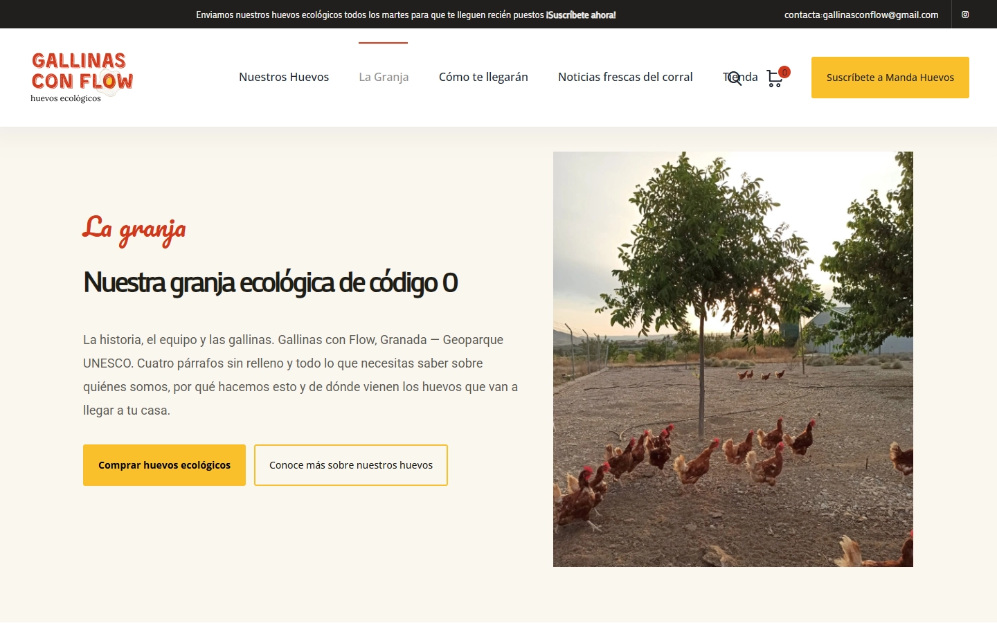 Vista de Gallinas con Flow 3