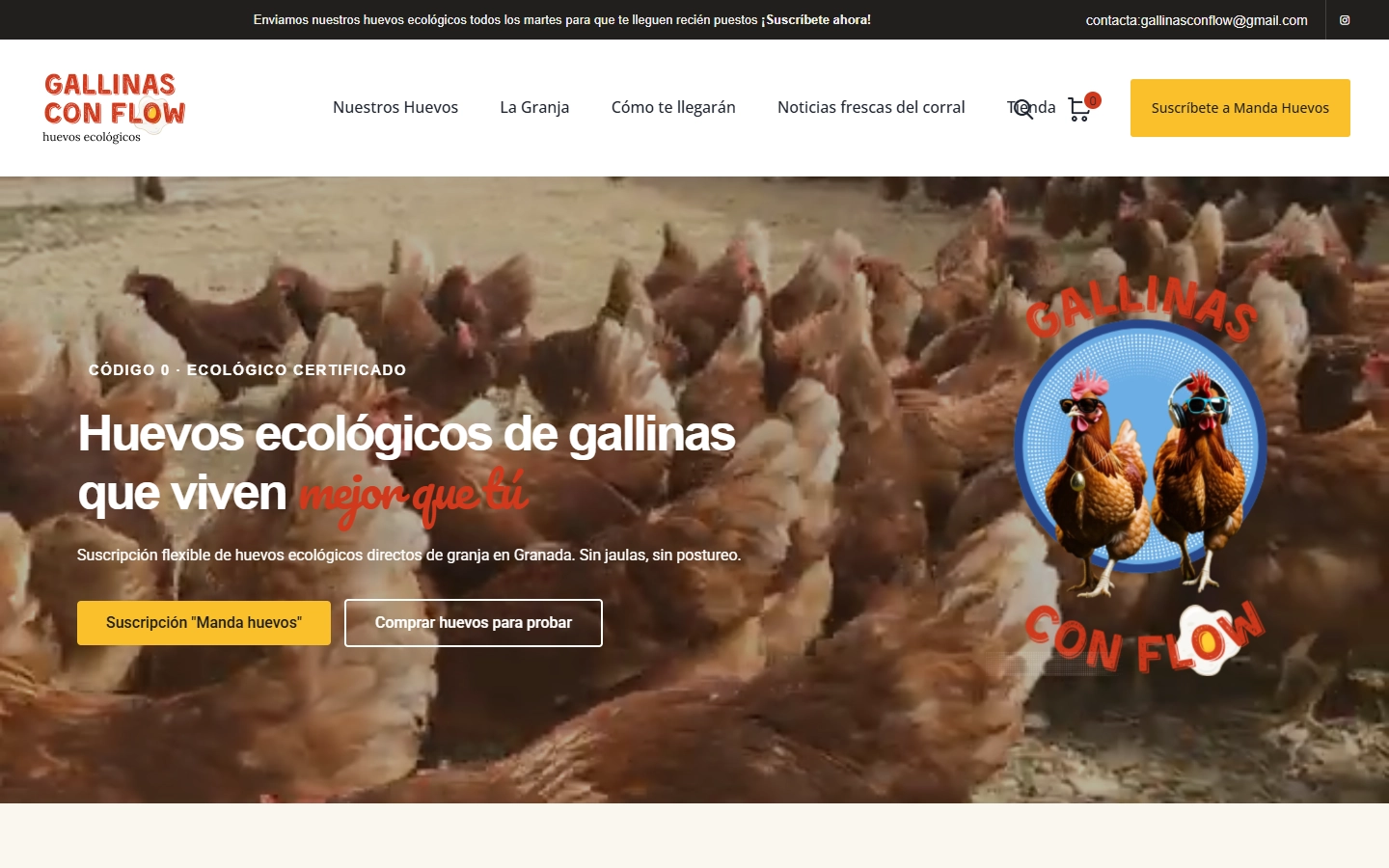 Vista de Gallinas con Flow 1